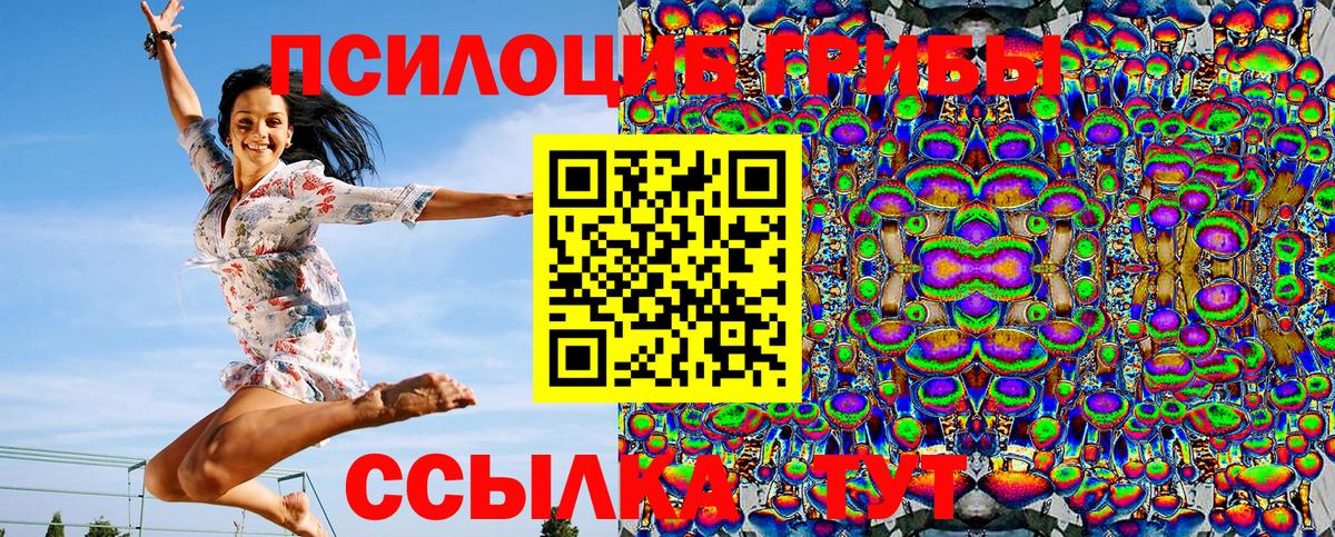 закладка  Вход с VPN  Ногинск  Псилоцибиновые грибы GOLDEN TEACHER 