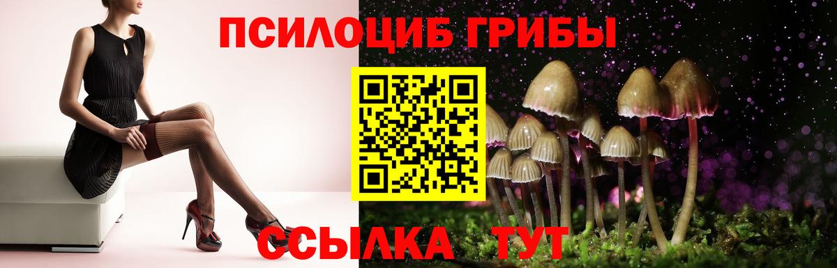 Псилоцибиновые грибы Cubensis Ногинск