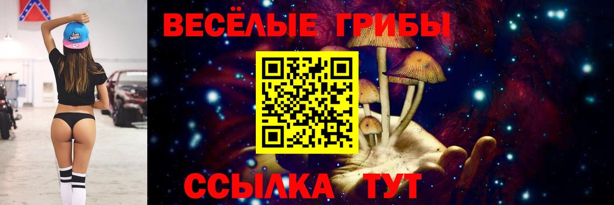 ГАШ  Бошки Шишки  ГАШ  Меф МЯУ МЯУ   Ногинск  Вход с VPN  Где купить наркотики?  НБОМе  КОКАИН  Альфа ПВП СОЛЬ  